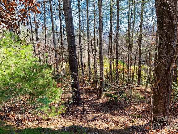 5th image of 139 Chattooga Run #221