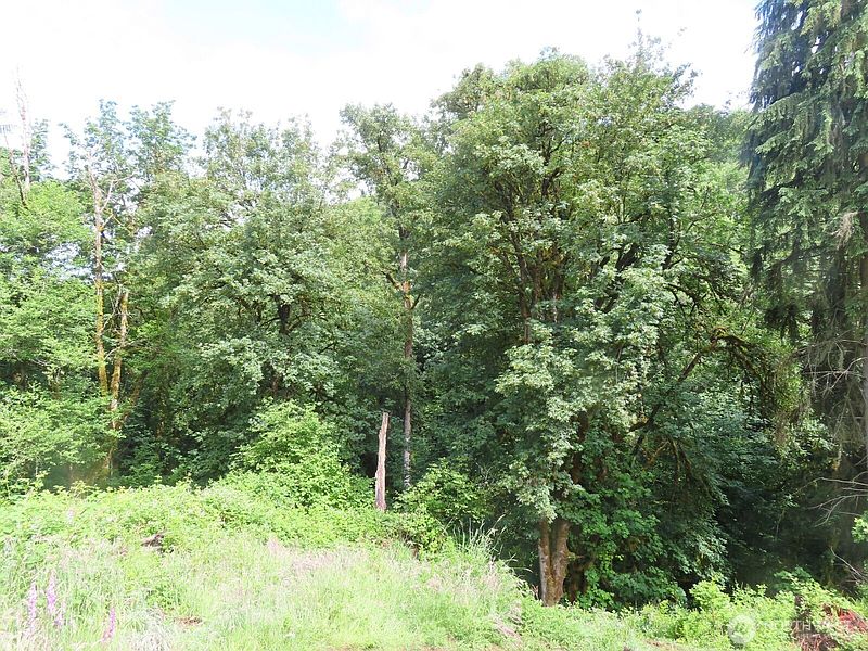 3rd image of 0 xxx Sylvan Way