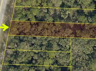 7302 Treiman Blvd LOT 1, Webster, FL 33597