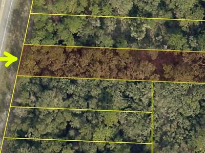 7302 Treiman Blvd Lot 1, Webster, FL, 33597