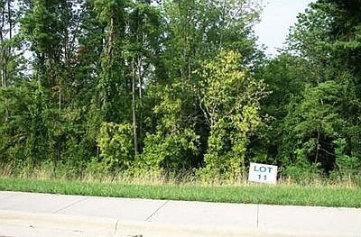 2nd image of 10 Larsons Way Lot 11