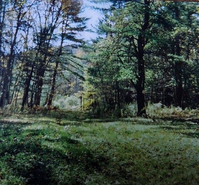 207 Camp Meeting Rd Mount Upton, NY, 13809 Apartments for Rent Zillow