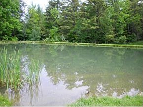 2nd image of 2247 Hinman Settler Rd