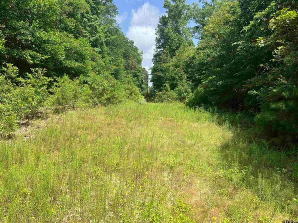 301 Bluebonnet St, Avinger, TX 75630