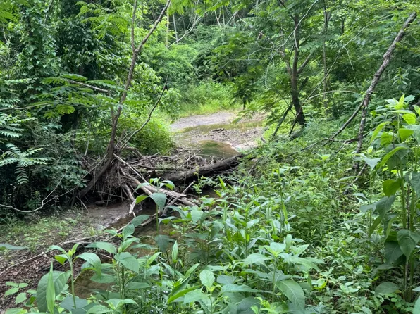 Geeville Rd, Dumas, MS 38625