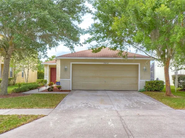 19804 Timberbluff Dr, Land O Lakes, FL 34638