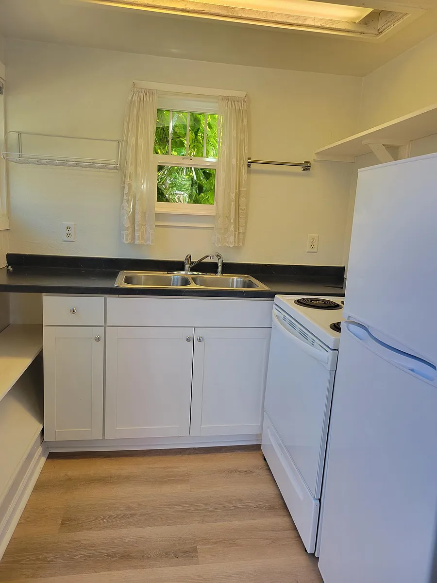 Updated kitchen - W 5th Ave