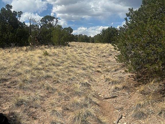 3rd image of County Road 530