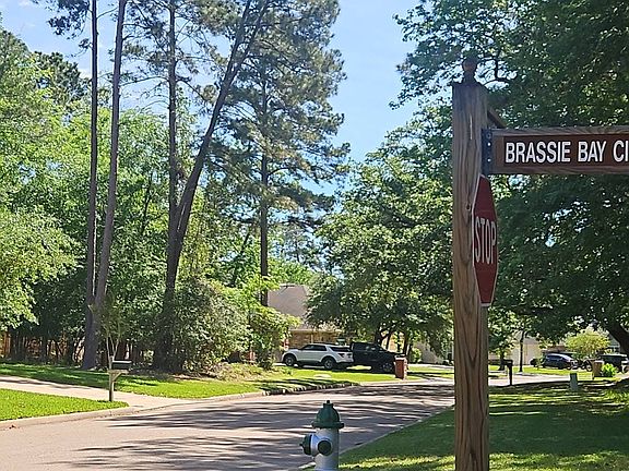 4th image of 3314 Pine Chase Dr
