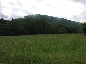 2nd image of Loop Rd