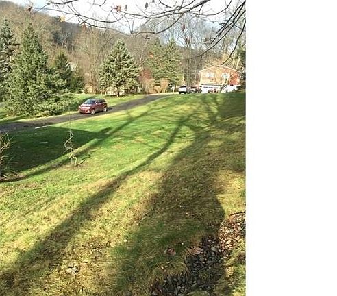 LARGE FRONT YARD