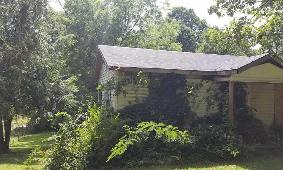 2nd image of Niota Rd