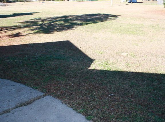 Front Yard