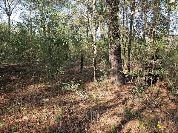 1-0001 Pine Cone Ln Lot 11, Plantersville, TX 77363