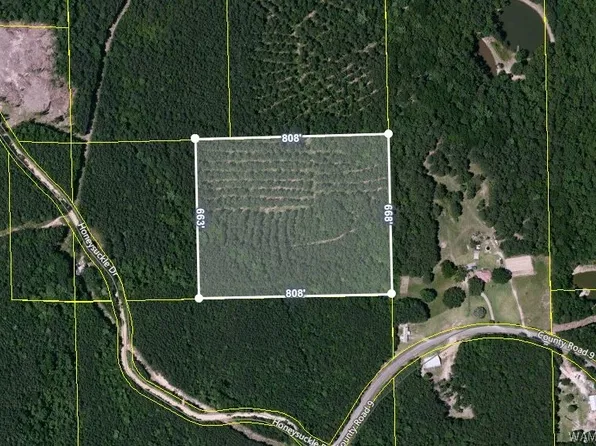 0 Honeysuckle Dr, Fayette, AL 35555