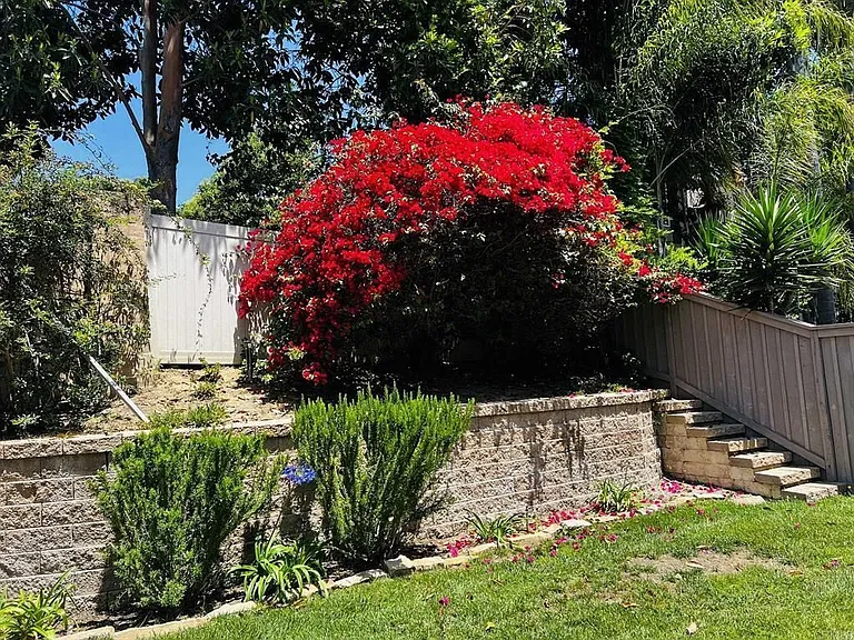 6033 Paseo Hermosa — Photo 8
