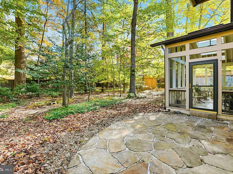 Back yard