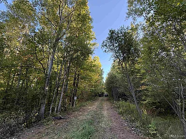 Property photo 52