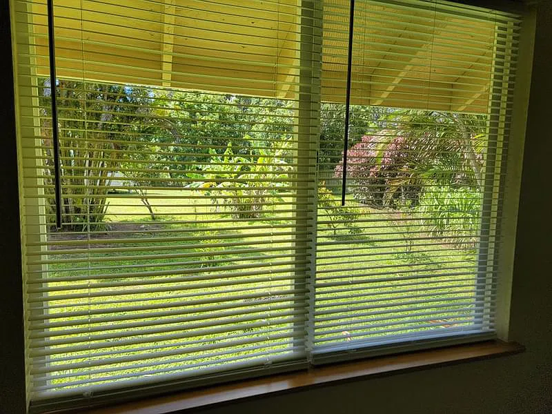2 bed, 1000 sqft, $3,600 — Photo 2
