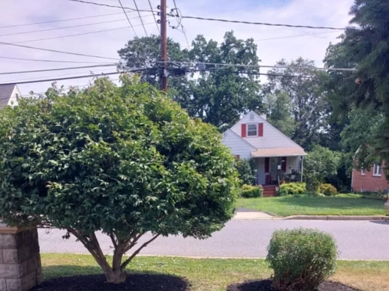 1253 Circle Dr #2 — Photo 9