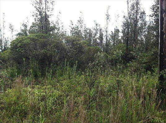 2nd image of Aloha Dr Lot 25