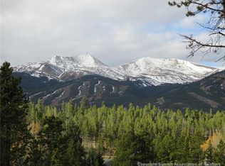 142 Scr 451 Rd, Breckenridge, CO 80424