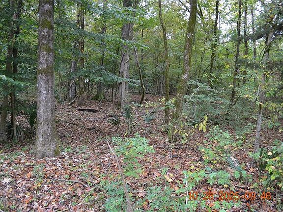3rd image of 0 Carson Dr