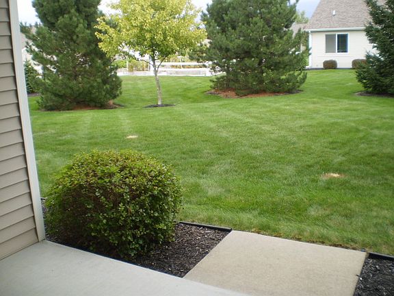 Back yard.