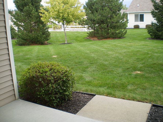 Back yard.