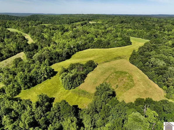 0 Cannon Rd, Princeton, KY 42445