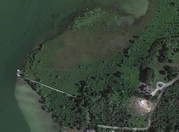 2nd image of AMON Ln #4