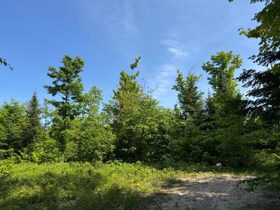 S Piatt Lake Rd, Eckerman, MI, 49728