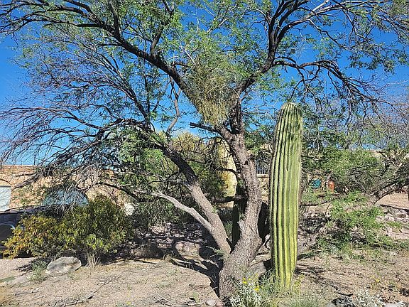 3rd image of 530 N La Cholla Blvd