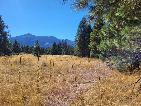 20 N Old Stage Rd, Weed, CA 96094