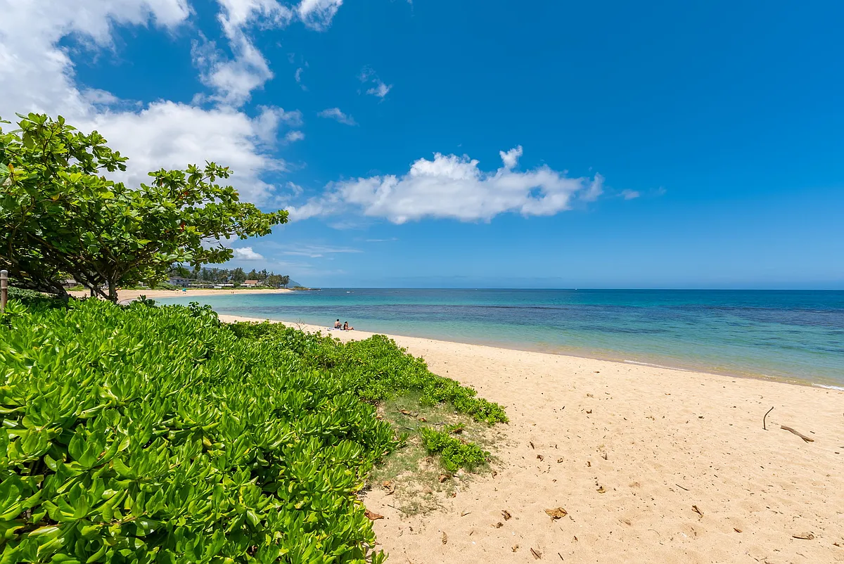 Building Photo - 66-303 Haleiwa Rd #A205