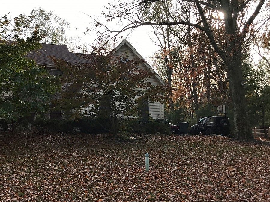 2nd image of 967 Clyde Ln