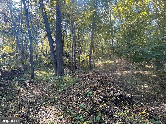 5th image of Baltimore Woodland Ave