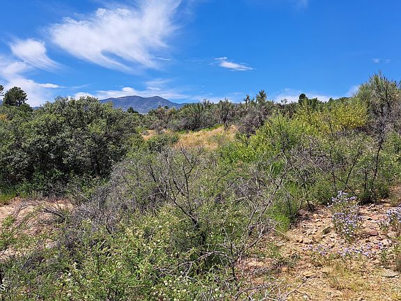 4th image of 002 S Camino Real Road
