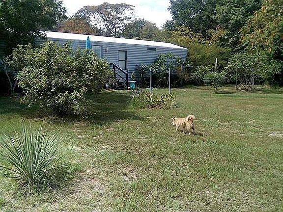 5th image of 12890 County Road 499