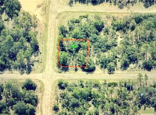 6679 N Northvale Ter, Citrus Springs, FL 34433