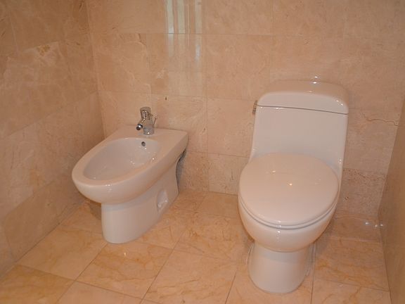 toilet and bidet in master bathroom