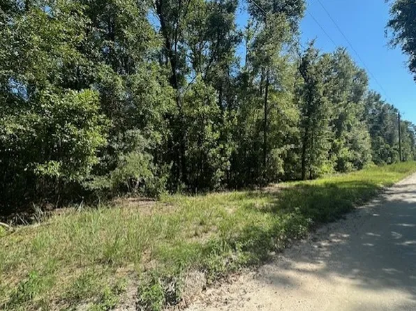 0 NW 38th Pl, Bell, FL 32619