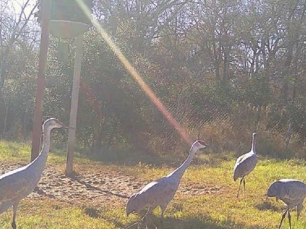 0 County Road 407, Gonzales, TX 78629