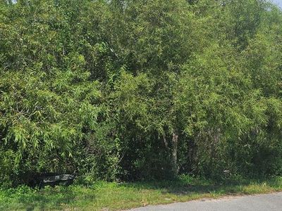 905 NE 6th St, Carrabelle, FL, 32322