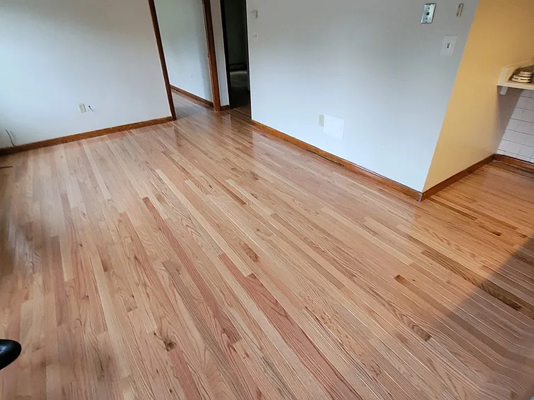 11 Bowles Ave #3 — Photo 13