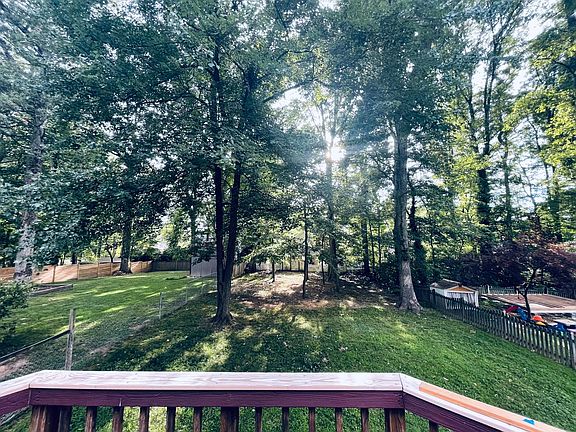 back yard