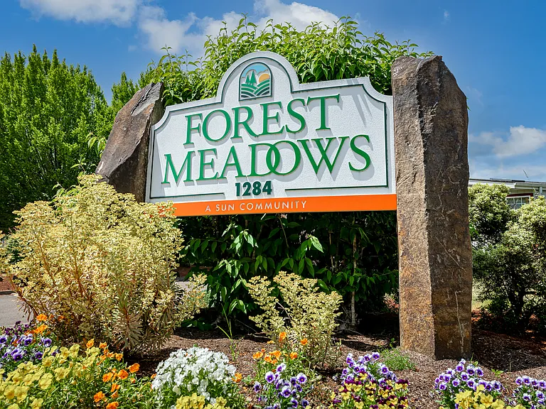 Forest Meadows — Photo 7