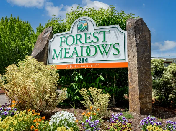 Forest Meadows