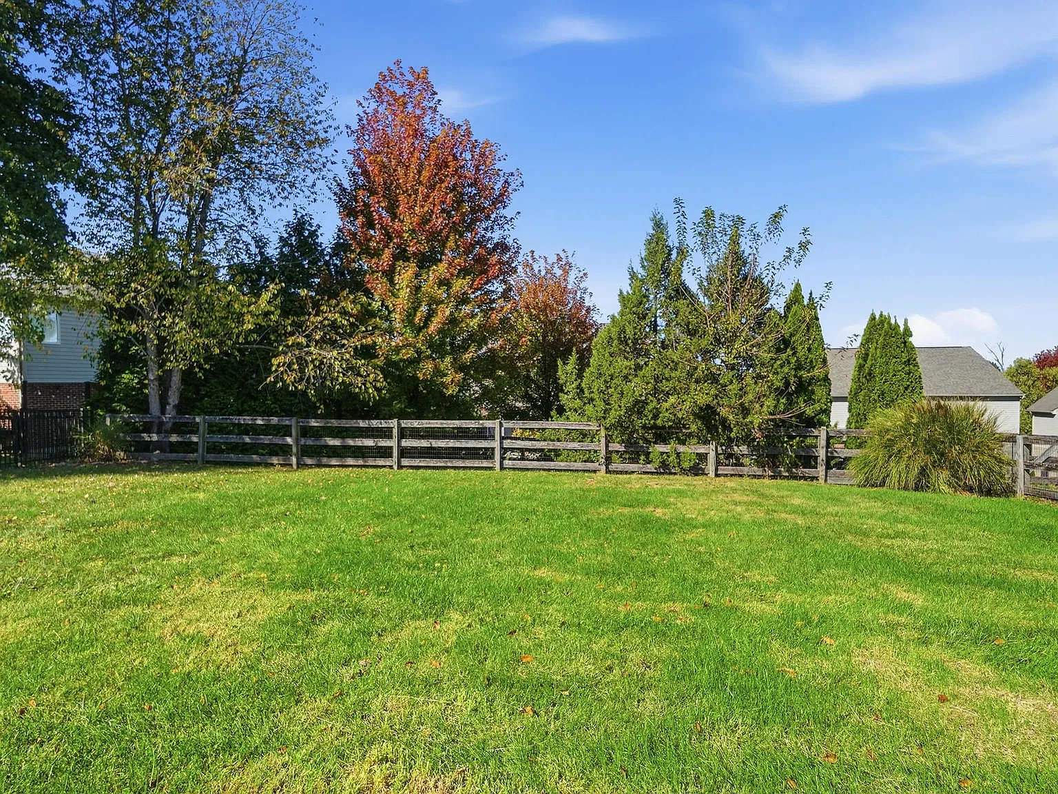 5 bed, 2.5 bath, 2505 sqft, $3,500 — Photo 4