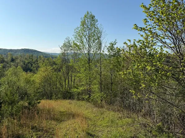 1 Low Gap Rd, Pine Knot, KY 42635